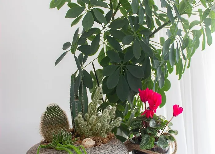 Lovely Cozy Houseboat Rembrandt, Old Centre