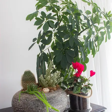 Lovely Cozy Houseboat Rembrandt, Old Centre